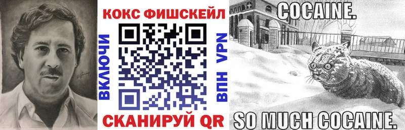 COCAIN Эквадор Горно-Алтайск