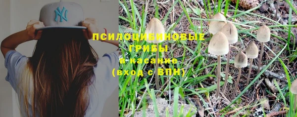 прущая мука Балахна