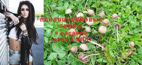 дмт Белокуриха