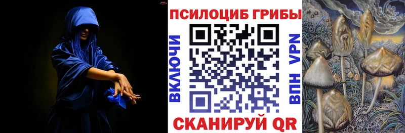 Псилоцибиновые грибы Magic Shrooms купить Горно-Алтайск