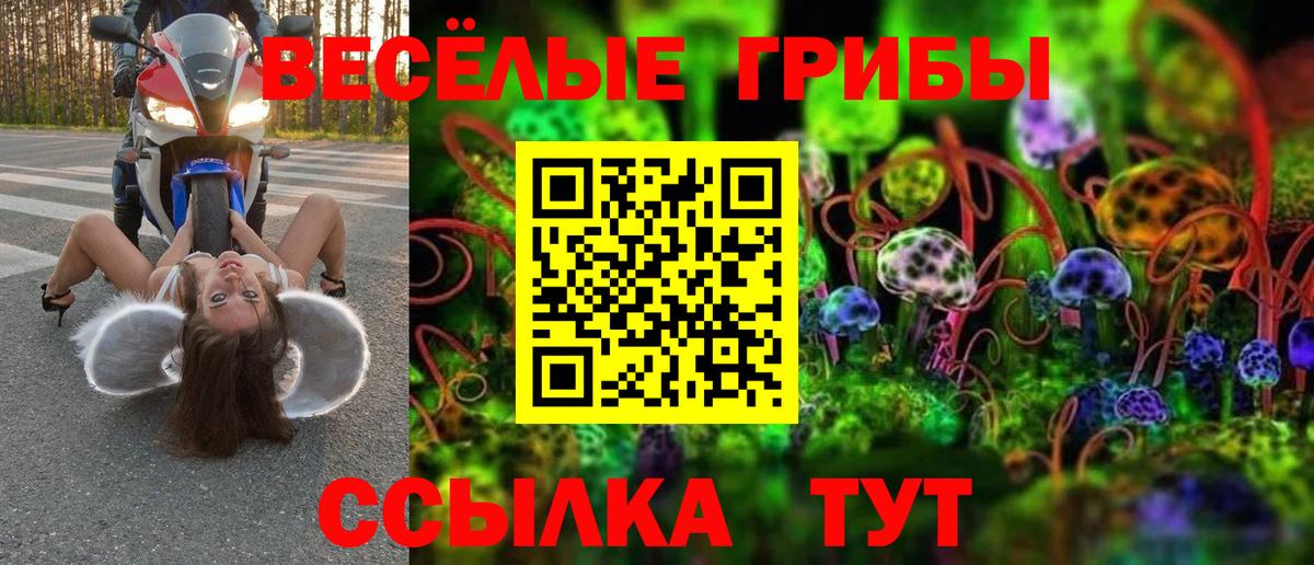 Псилоцибиновые грибы мицелий  Псилоцибиновые грибы мицелий  Горно-Алтайск  Вход с VPN 